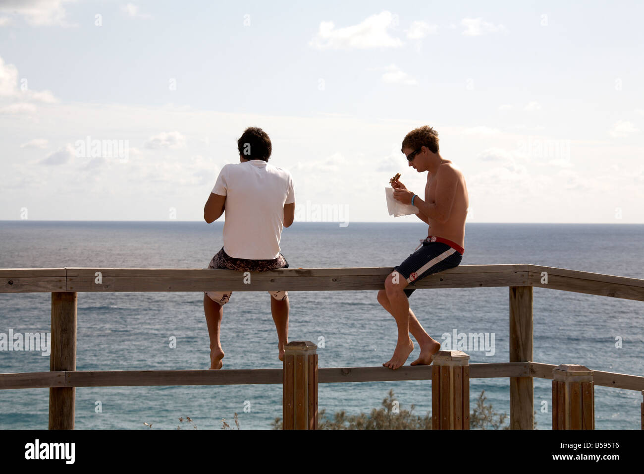 Sitting On The Fence Pictures Zoran Radmilo