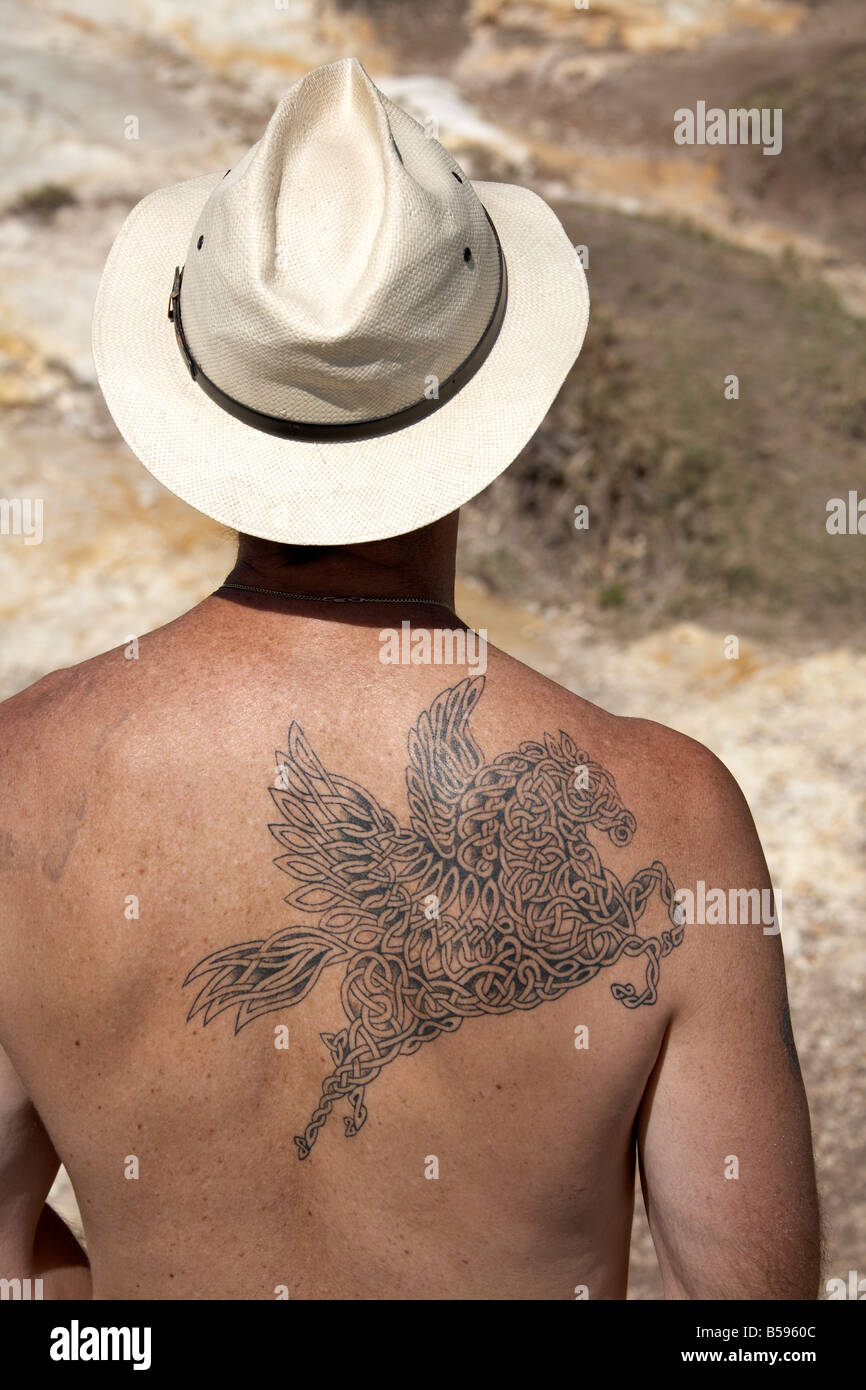 Man tattoo pegasus winged horse on his back artistic celtic design pattern seen on North Stradbroke Island Queensland Australia Stock Photo