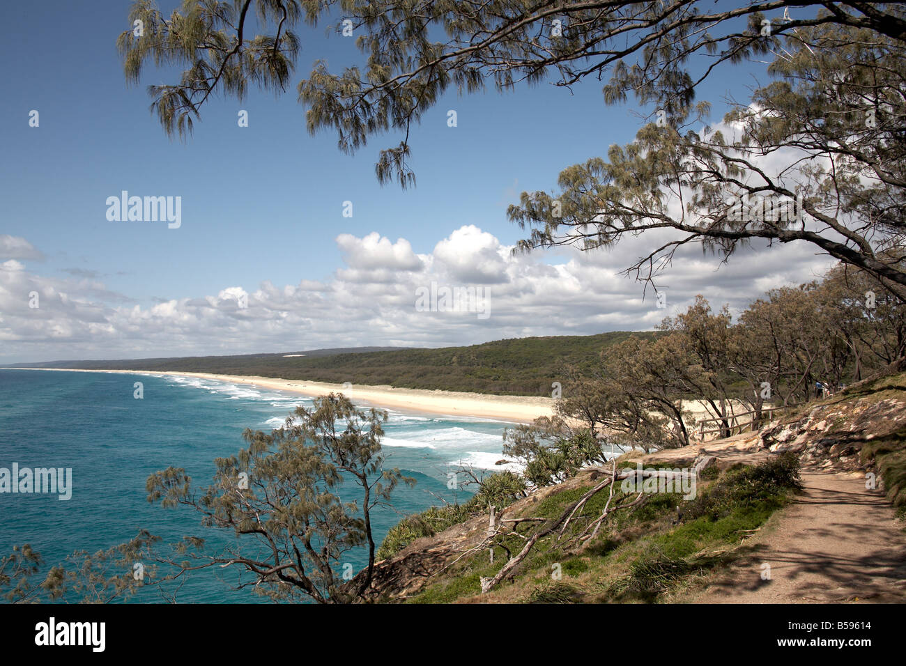 Trees Main Beach and sea from Gorge Walk on North Stradbroke Island Queensland QLD Australia Stock Photo