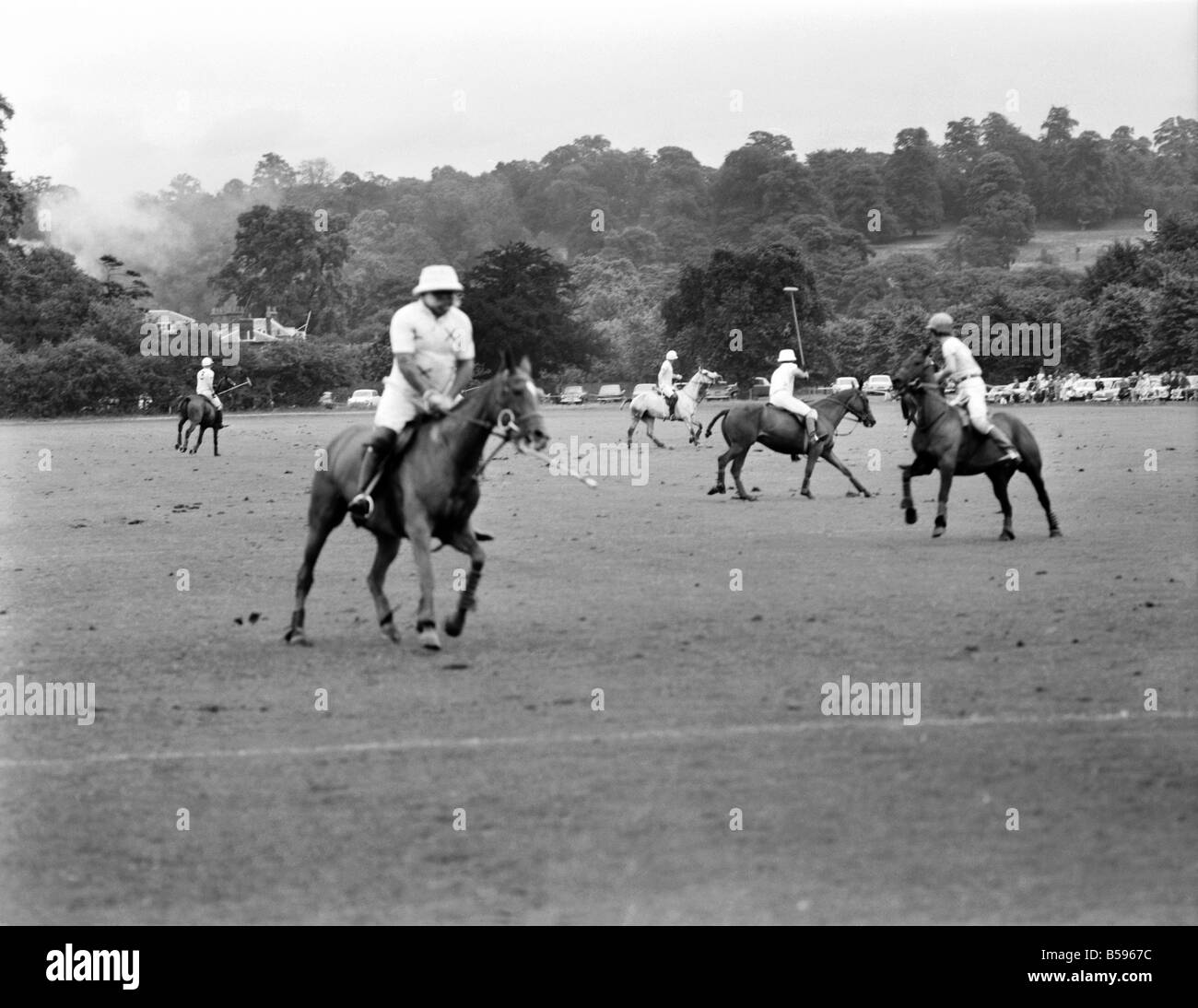 Polo 1970 new arrivals