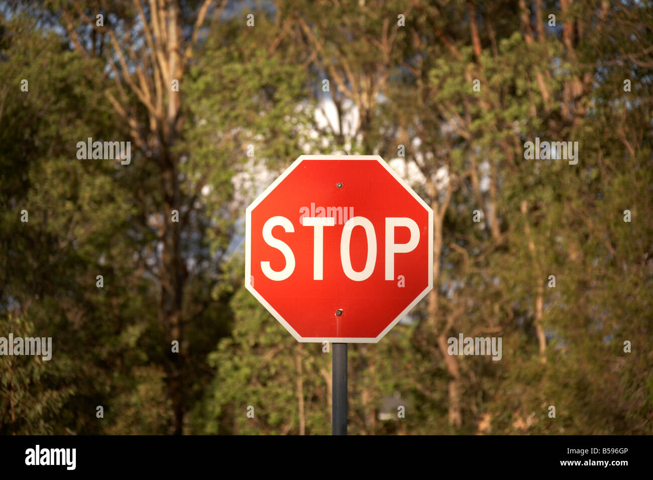 stop-sign-in-queensland-qld-australia-stock-photo-alamy