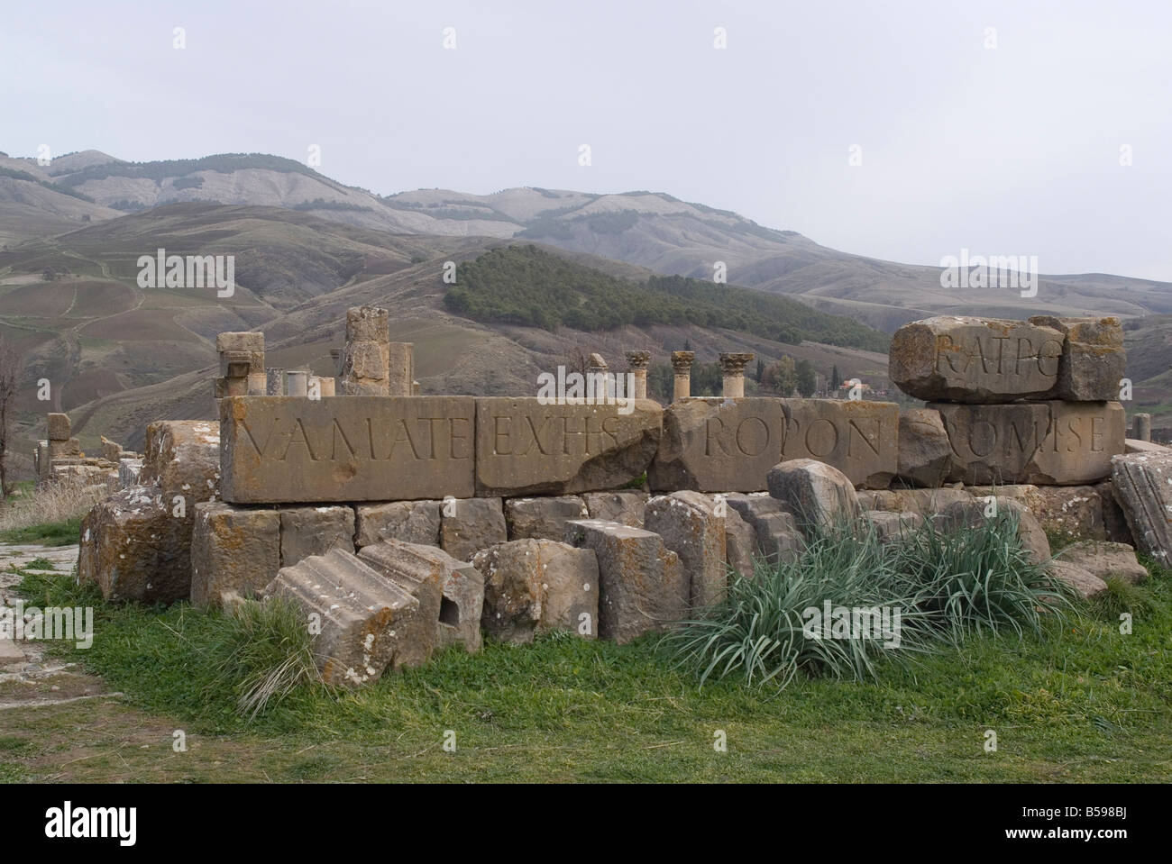 Inscriptions at the Roman site of Djemila, UNESCO World Heritage Site, Algeria, North Africa, Africa Stock Photo