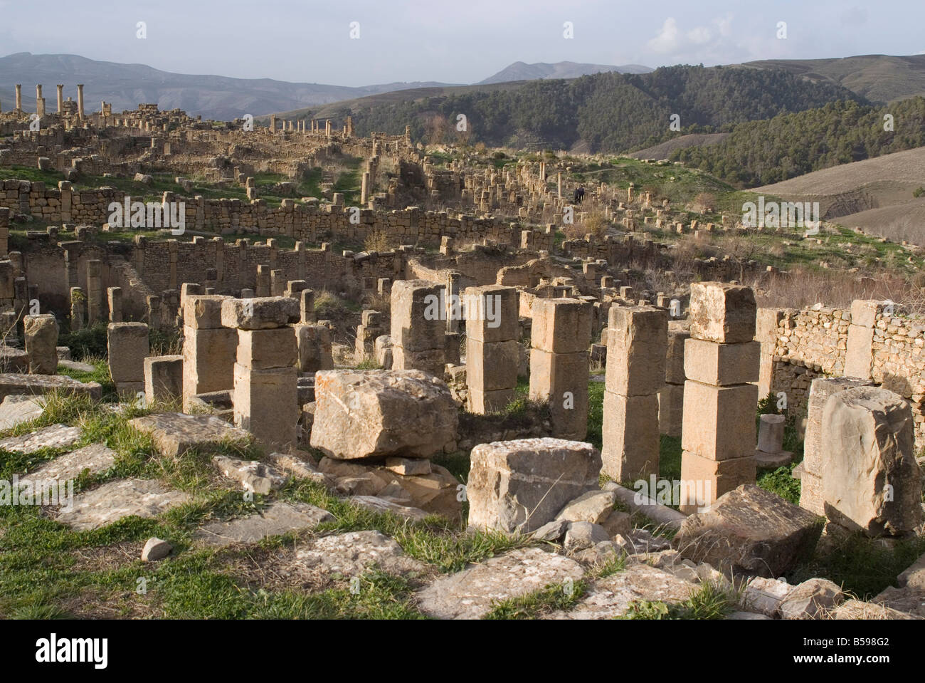 Overlooking the Roman site of Djemila, UNESCO World Heritage Site, Algeria, North Africa, Africa Stock Photo