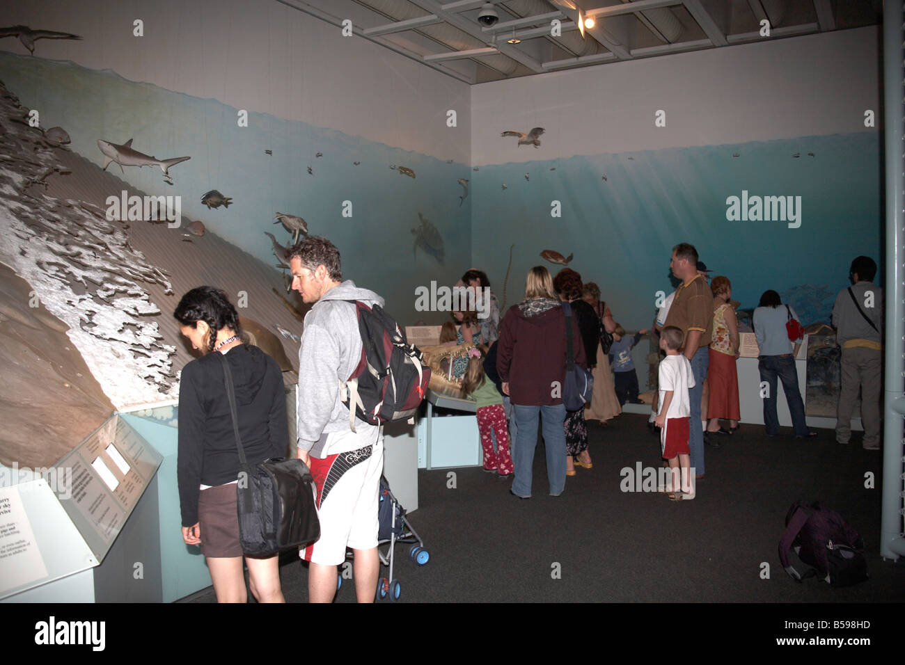 nature museum people visitors sea life in Brisbane Queensland QLD Australia Stock Photo