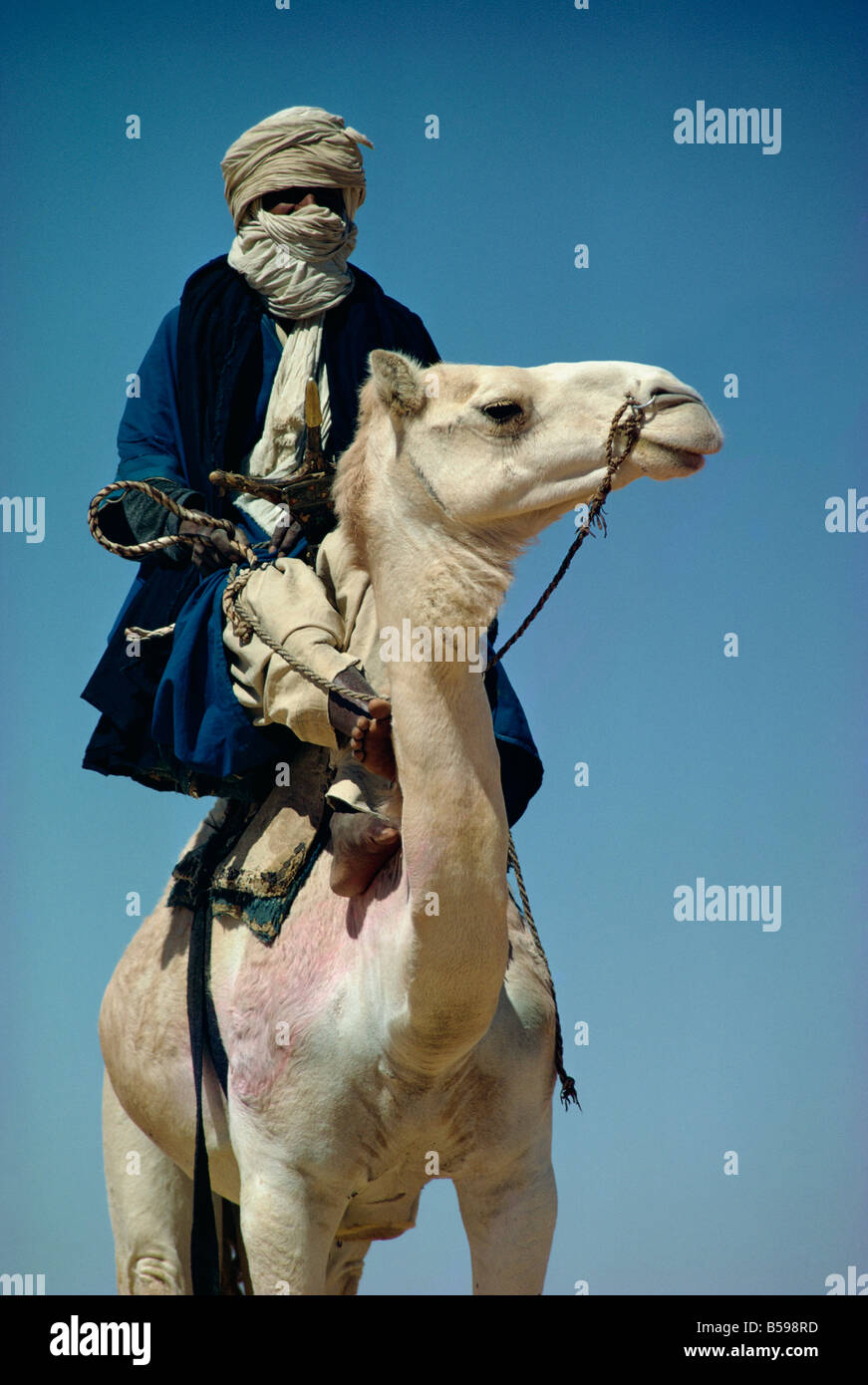 Camel and rider Sahara Desert Algeria Africa Stock Photo - Alamy