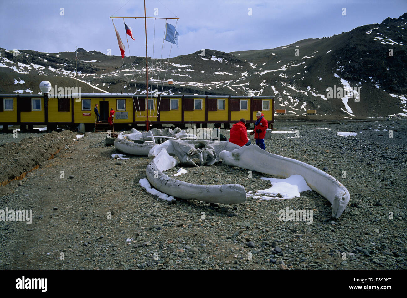 The Polish Arctowski Base King George Island South Shetland Islands Antarctica Polar Regions Stock Photo