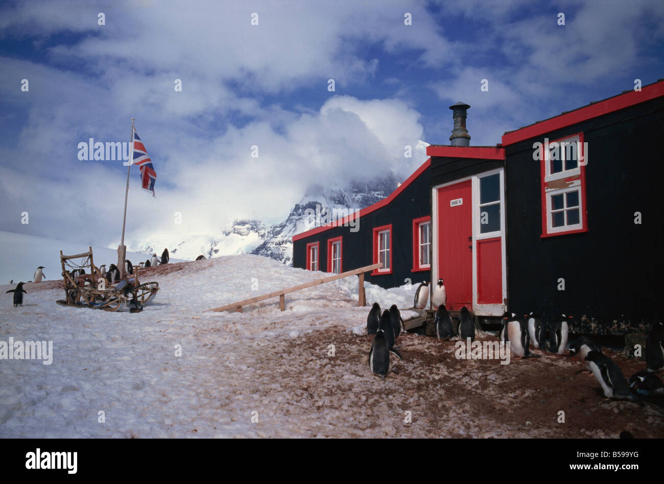 Port Lockroy hut British station built in 1944 Antarctic Peninsula Antarctica Polar Regions Stock Photo