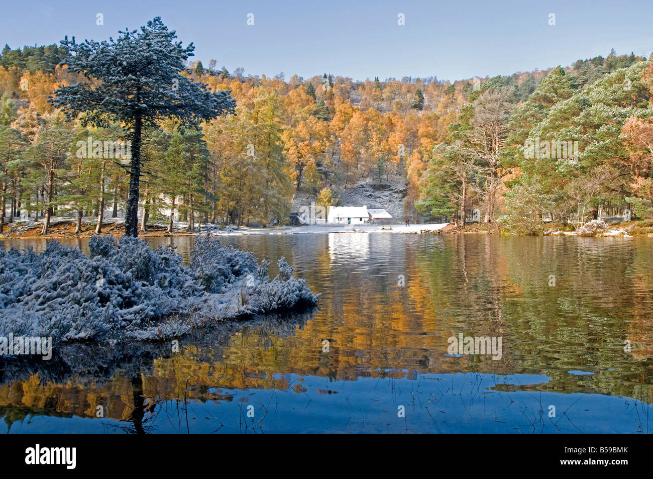 Autumn colours at Loch an Eilein Rothiemurchus Aviemore Badenoch and Strathspey Invernessshire