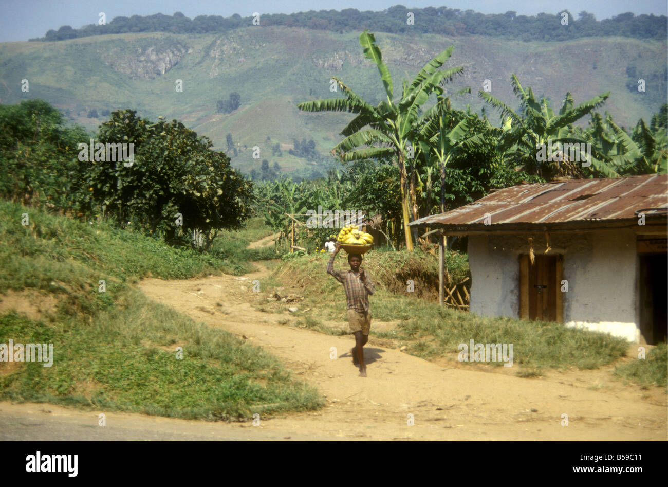 Young boy carrying basket of bananas on his head South West Uganda Stock Photo