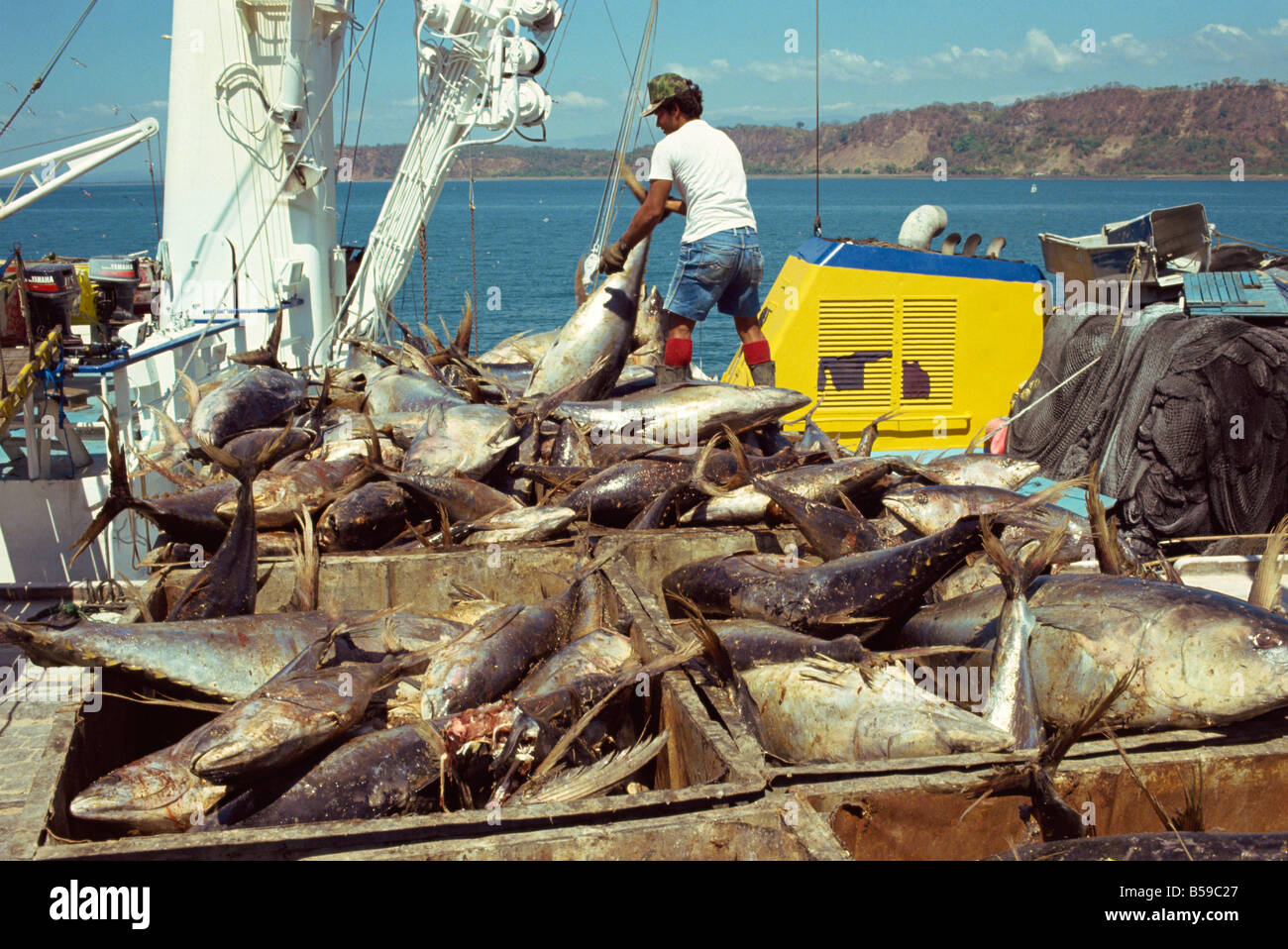 Tuna fishing Caldera Aruba Lesser Antilles Caribbean Central America Stock Photo