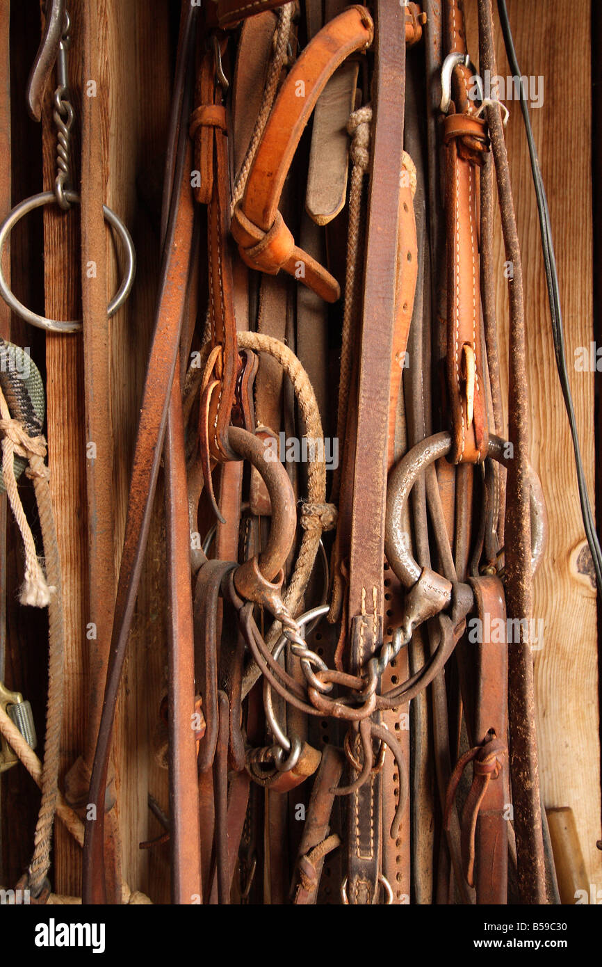 Tack (horse or equine) Equipment Stock Photo