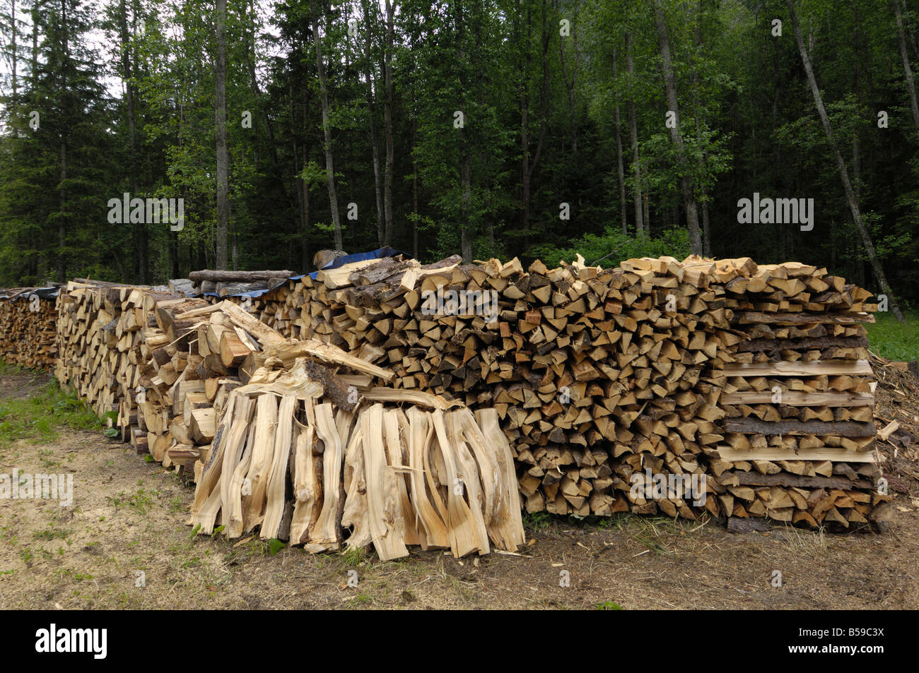 stack of firewood typical
