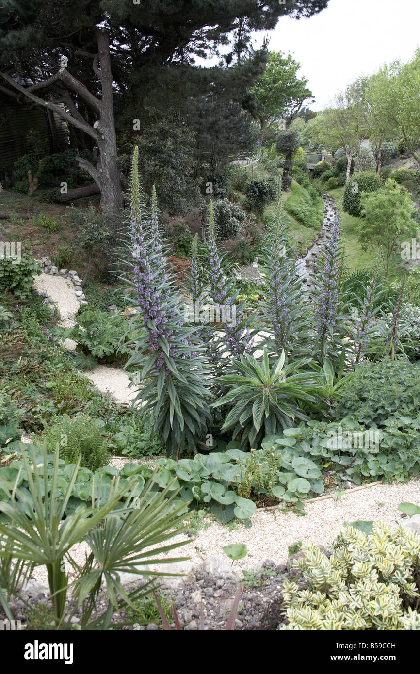 Exotic Tropical Plants In Blackgang Chine Fantasy Park Valley Isle Of exotic-tropical-plants-in-blackgang-chine-fantasy-park-valley-isle-of