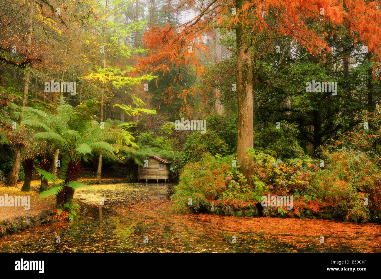 The boathouse, Alfred Nicholas Gardens, Dandenong Ranges, Victoria