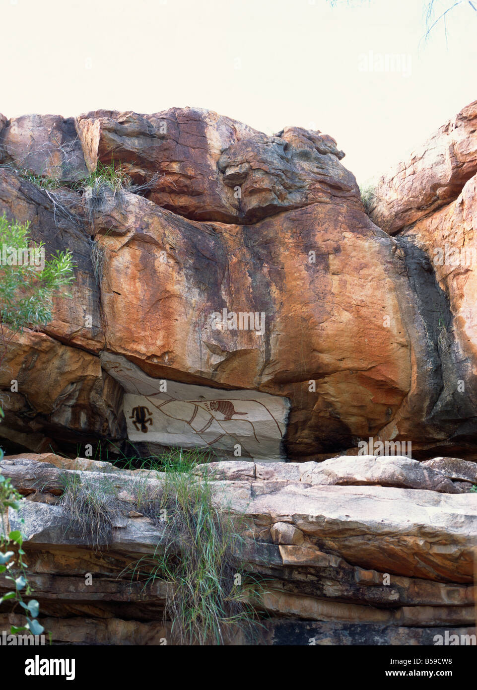 Restored Aboriginal paintings in cliffs in Manning Creek Gorge Gibb River Road Kimberley West Australia Australia Pacific Stock Photo
