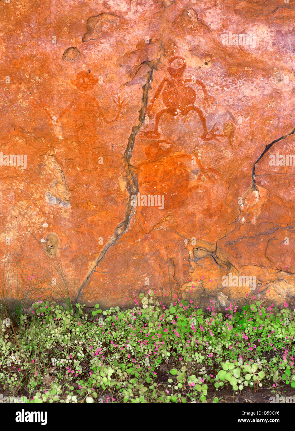 Aboriginal painted figures with flowers, near King Edward River, Kulumburu Road, Kimberley, West Australia, Australia, Pacific Stock Photo