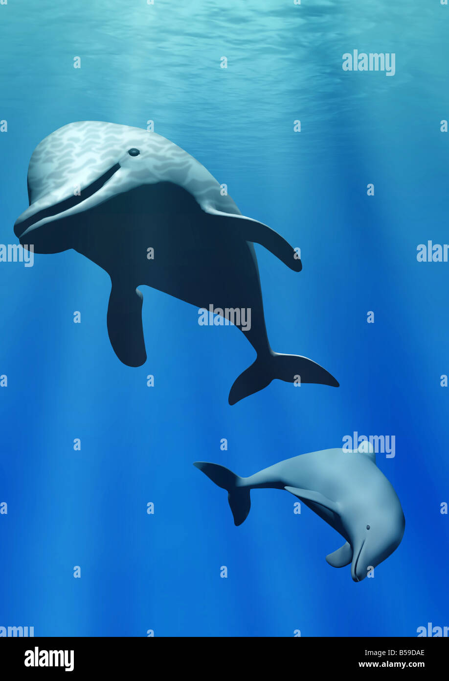 Dolphins under water Two sea animals in blue water with effect of beams of  the sun Stock Photo - Alamy