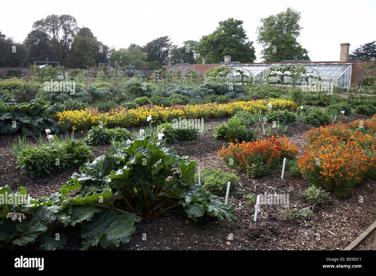 Flowers and plants in Walled garden of Osborne House former home of Queen Victoria East Cowes Isle of Wight England UK English H Stock Photo