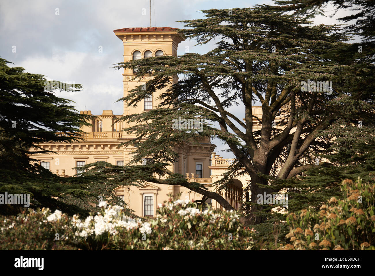 Cedar tree with Osborne House former home of Queen Victoria East Cowes Isle of Wight England UK English Heritage Stock Photo
