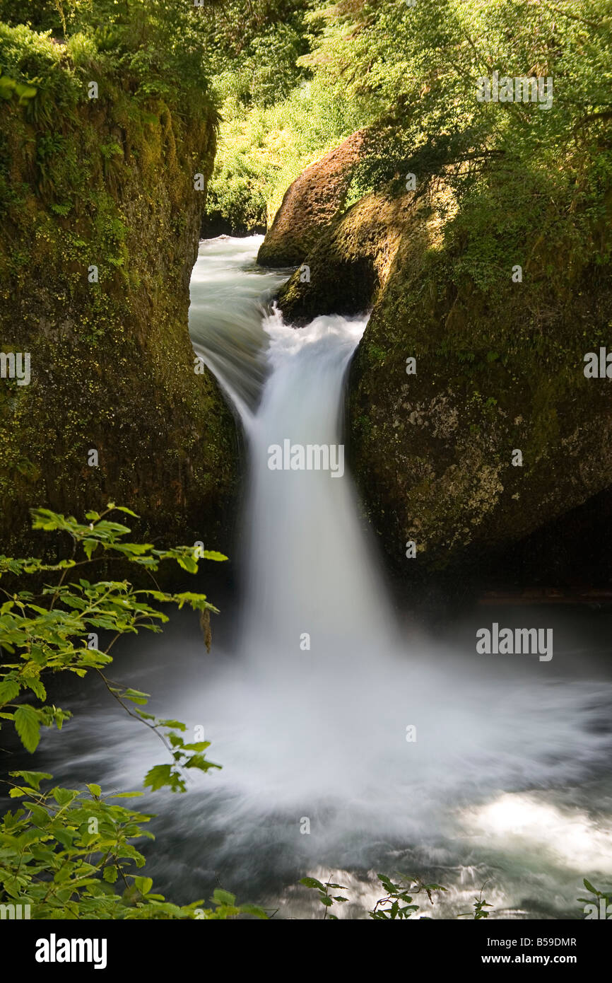 Punch bowl falls Eagle Creek Oregon Stock Photo Alamy