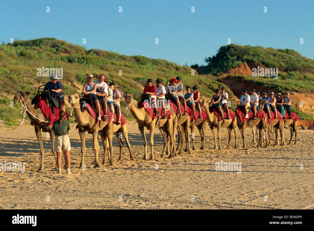 Camel rides Cable Beach Broome Kimberley Western Australia Australia Pacific Stock Photo