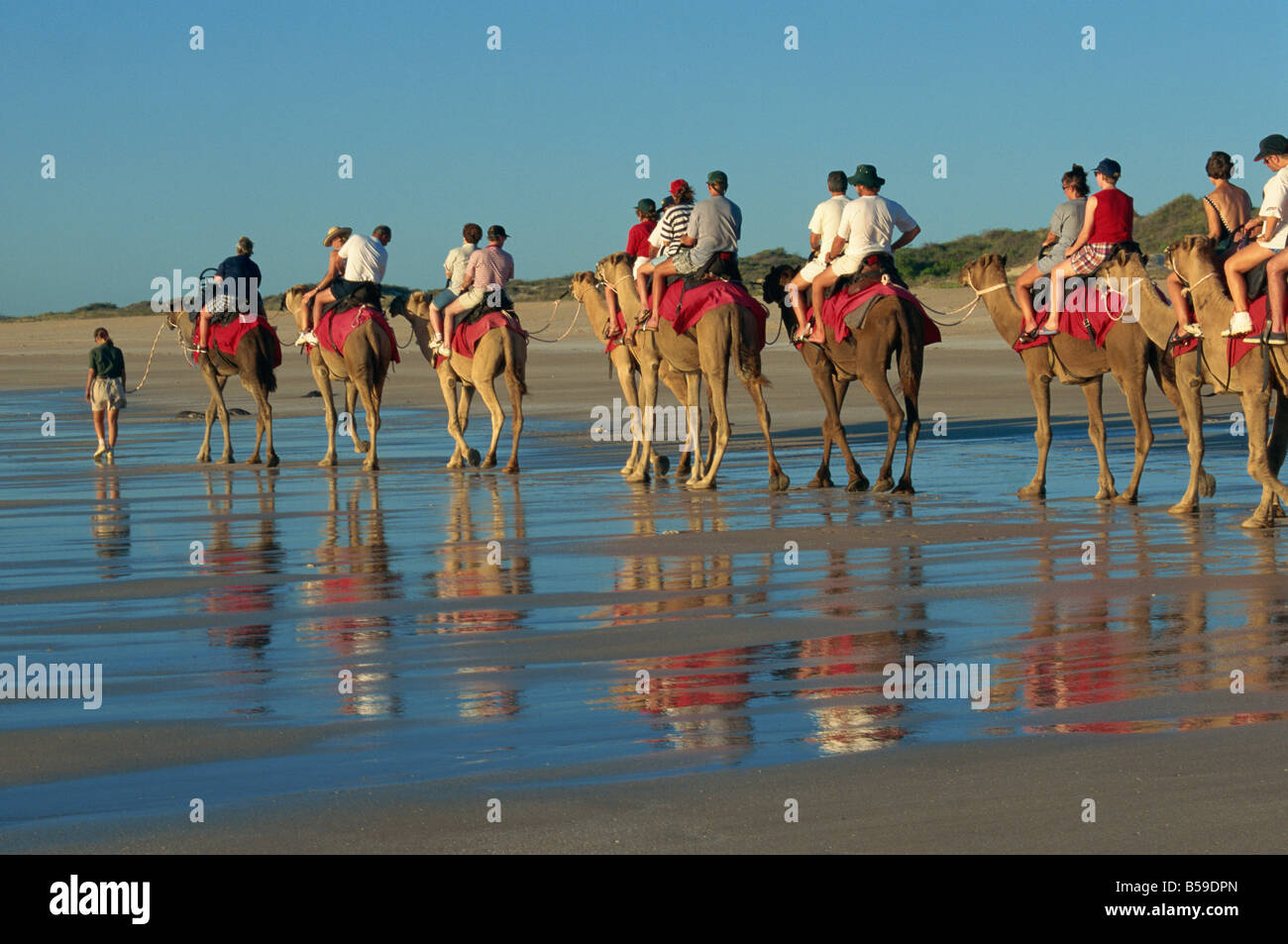 Camel rides Cable Beach Broome Kimberley Western Australia Australia Pacific Stock Photo