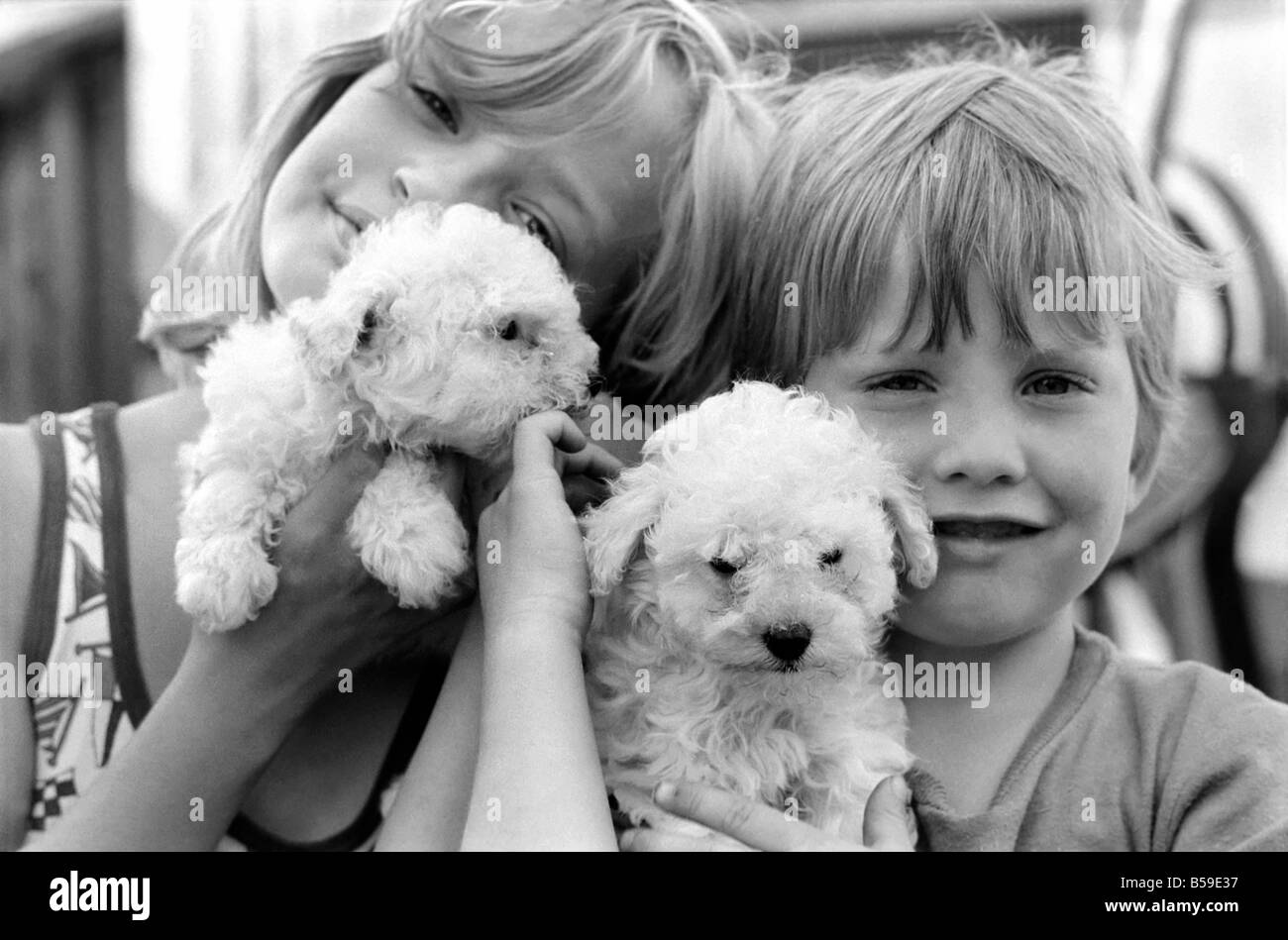 A young boy and girl with terrier puppiesy at the Frant Kennels in