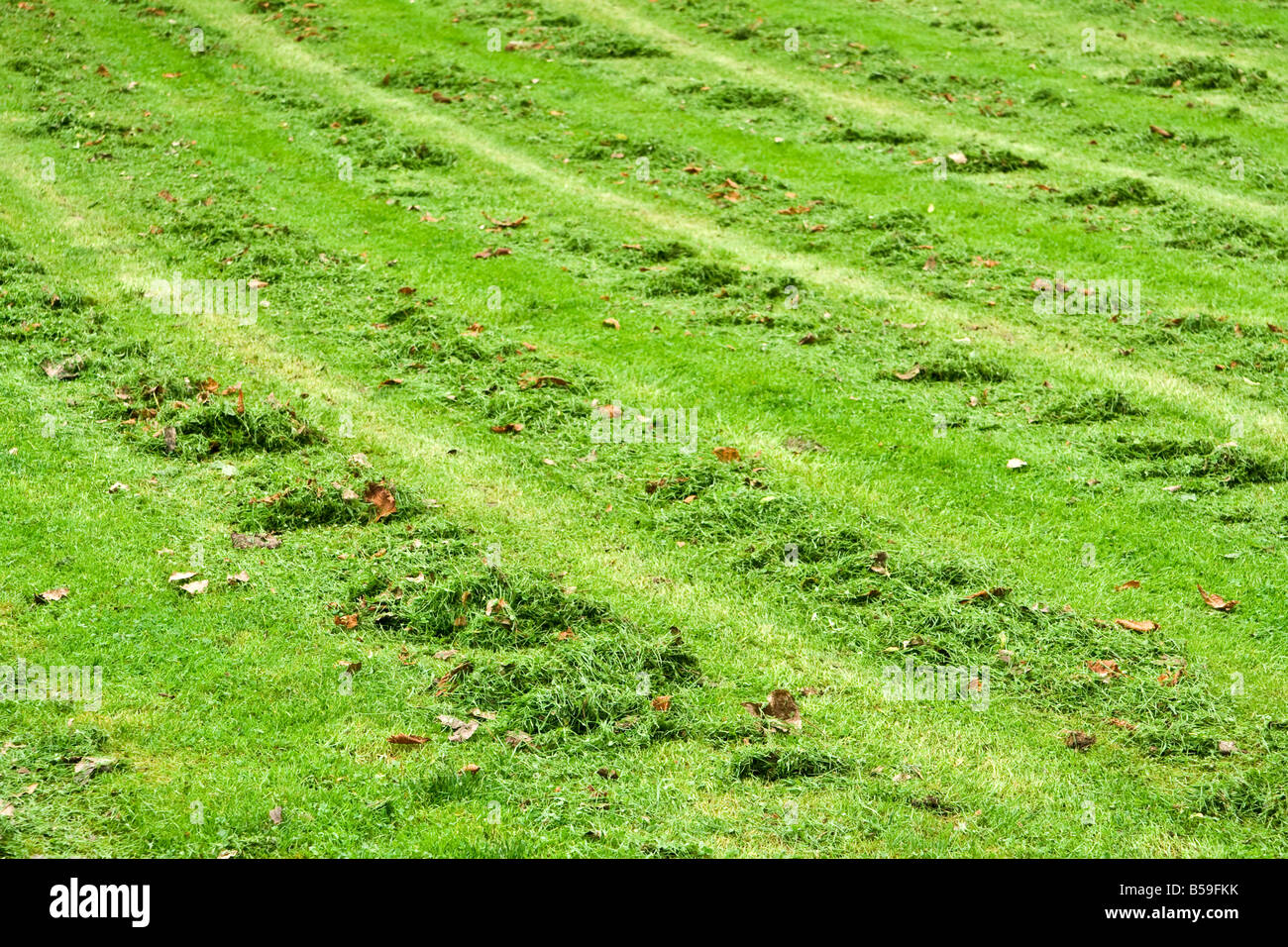 Lines on freshly mown grass Stock Photo - Alamy