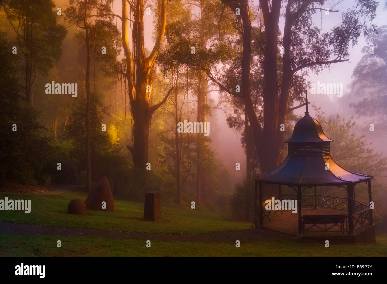 Alfred Nicholas Gardens, Dandenong Ranges, Victoria, Australia, Pacific