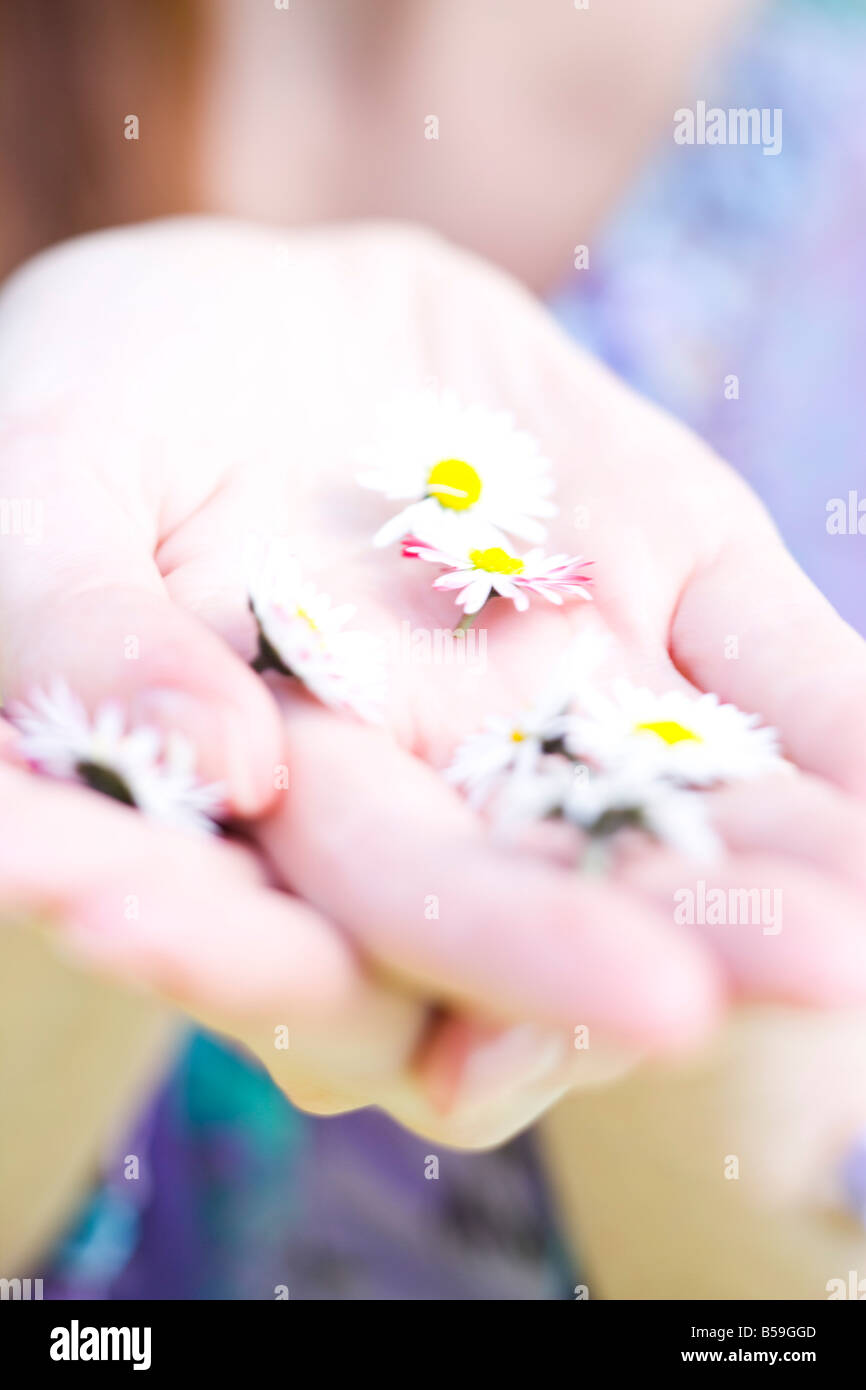 Hand picking up daisy hi-res stock photography and images - Alamy