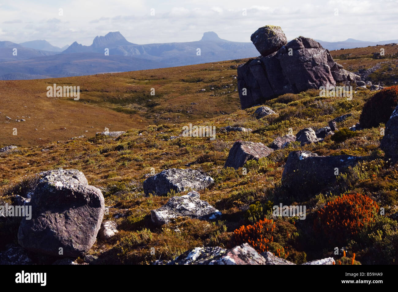 Black Bluff mountain with Cradle Mountain in the distance, Tasmania