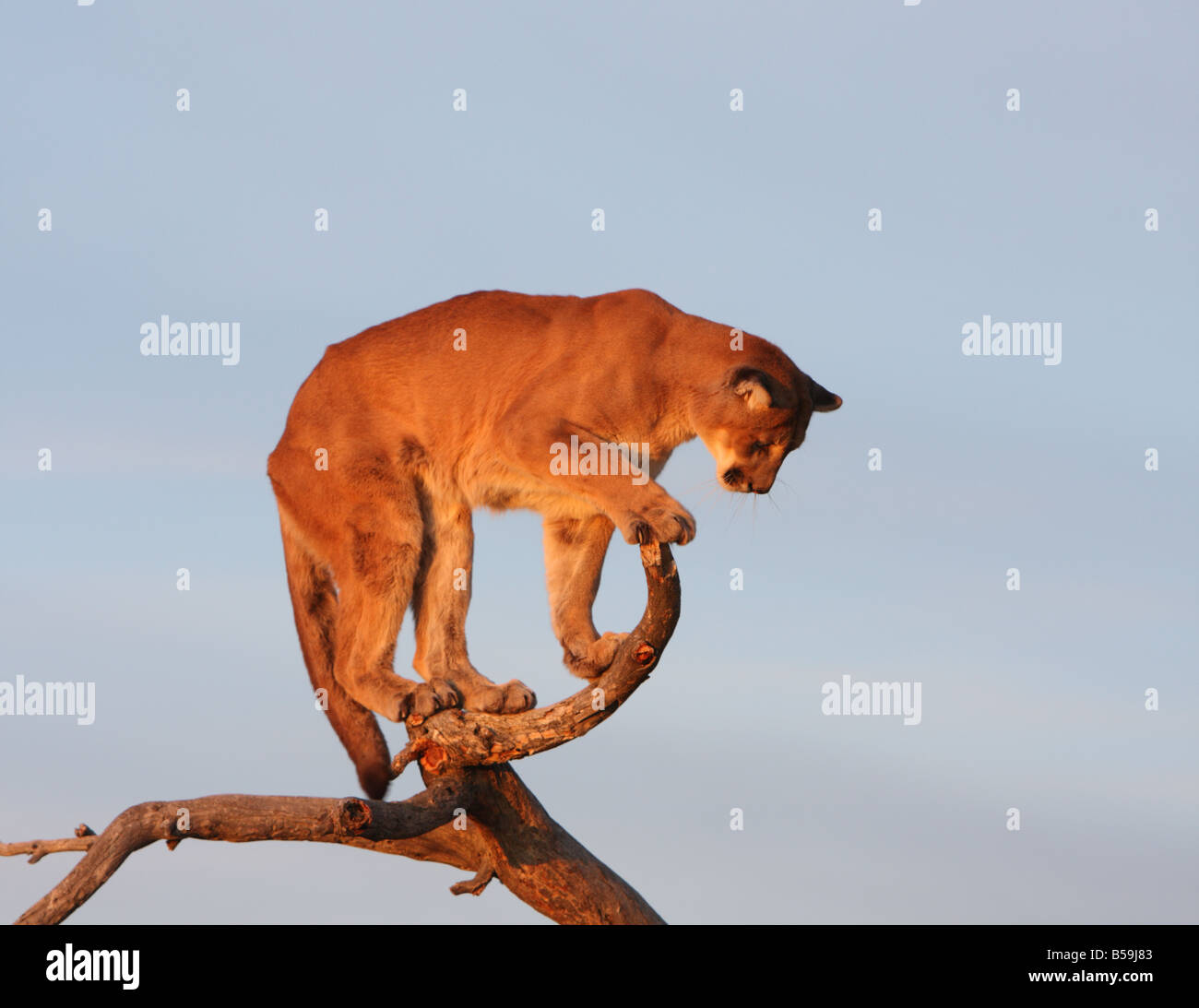 My Image 34