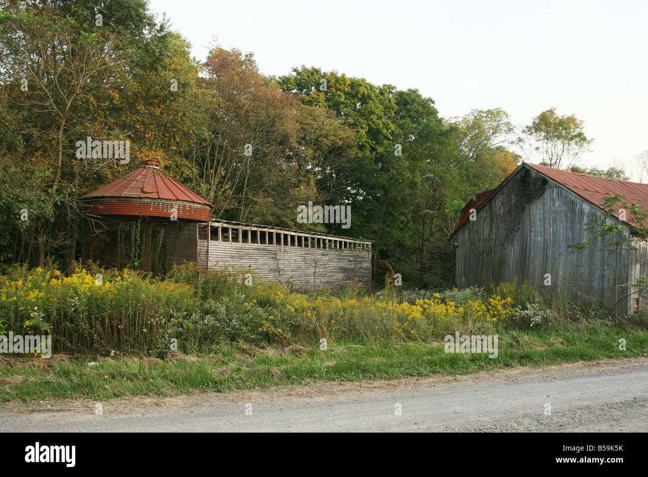 Corn Cribs in overgrown field Amish section of central Ohio Stock Photo