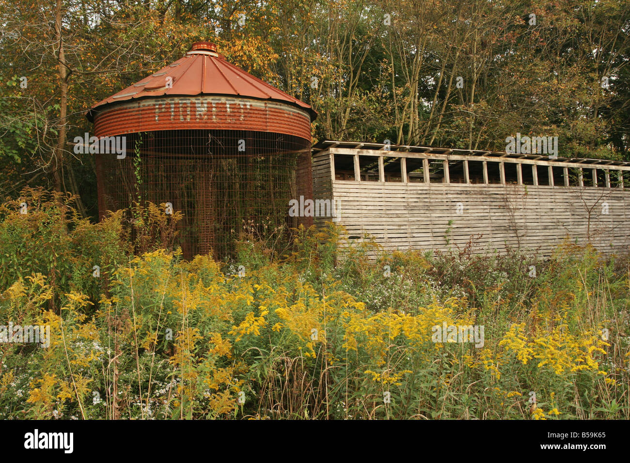 Corn Cribs in overgrown field Amish section of central Ohio Stock Photo