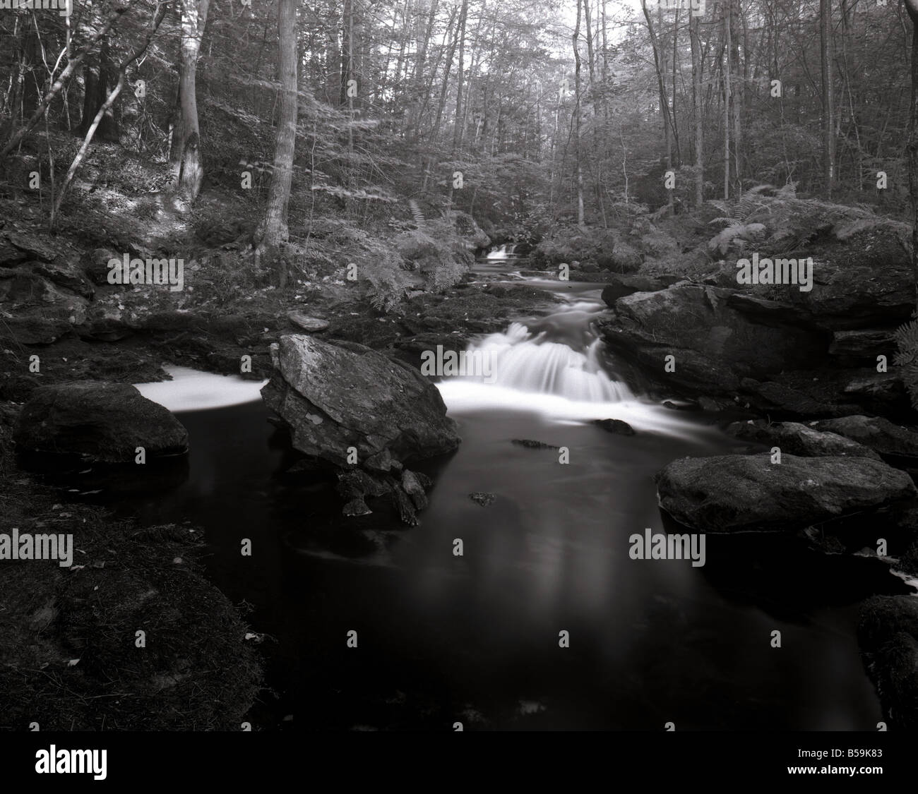 Two small waterfalls in a brook flowing through the forest of Wilton, New Hampshire. Stock Photo