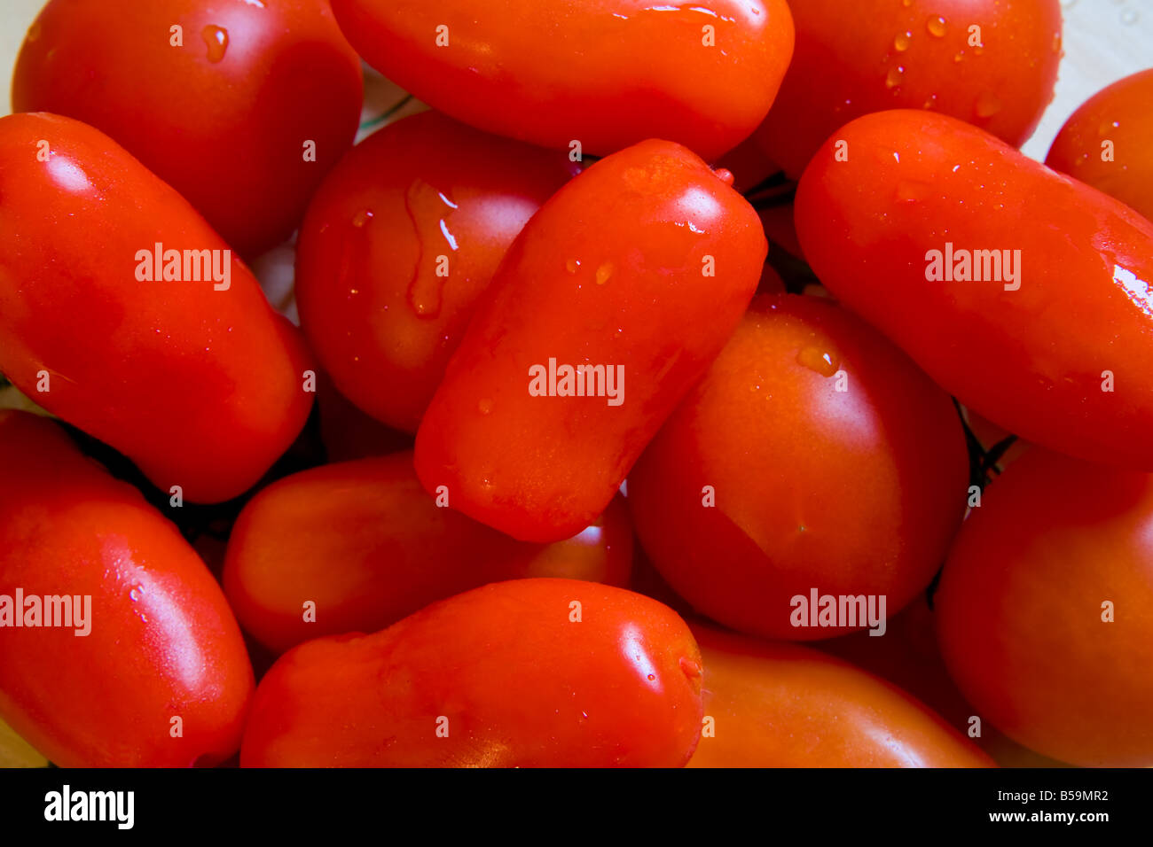 Close up of plum and cherry tomatos Stock Photo