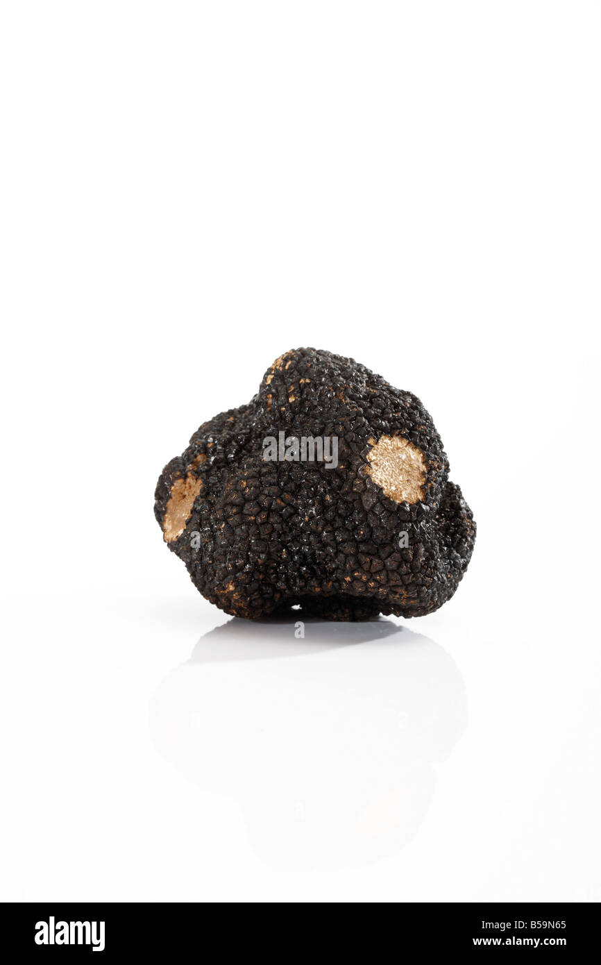 Black Truffle Stock Photo