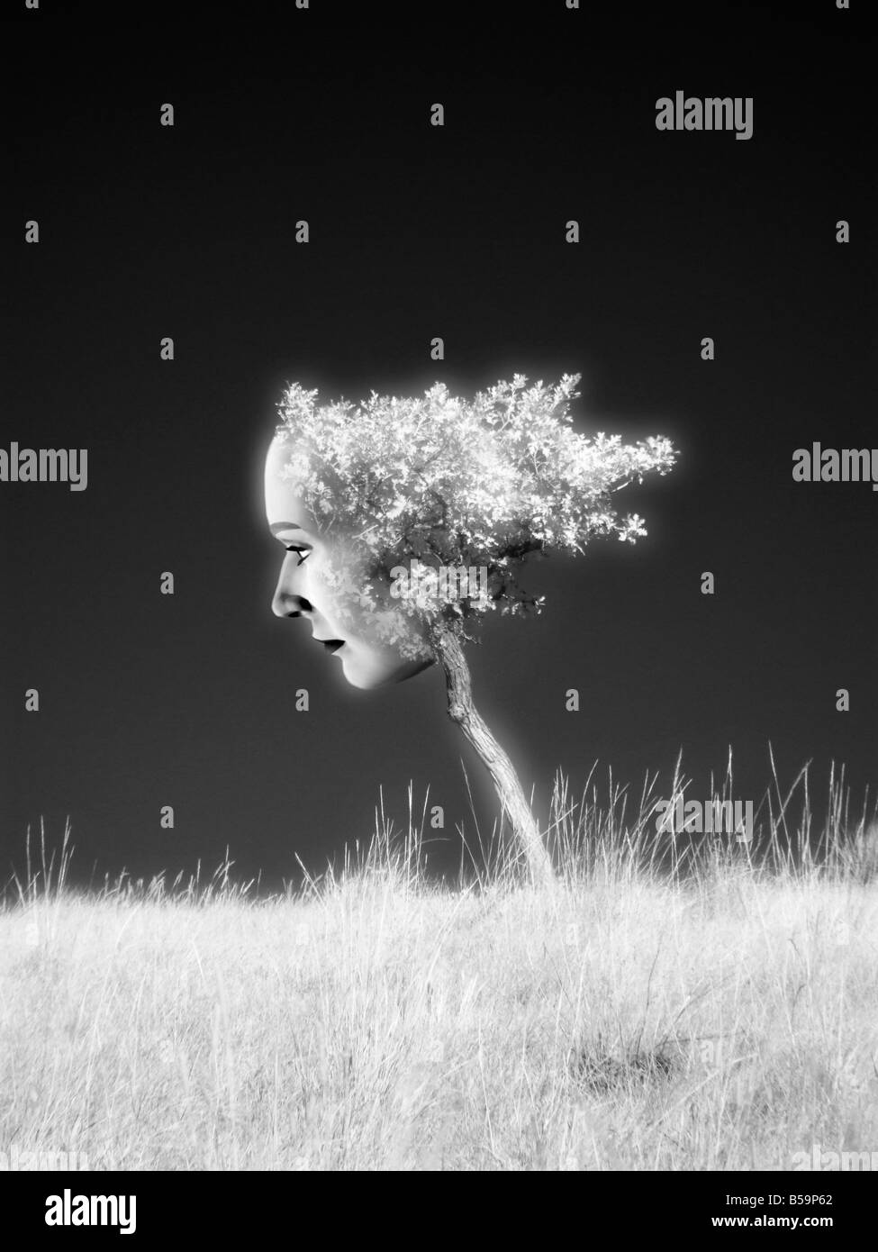 Surrealistic Tree with Face in Infrared Stock Photo