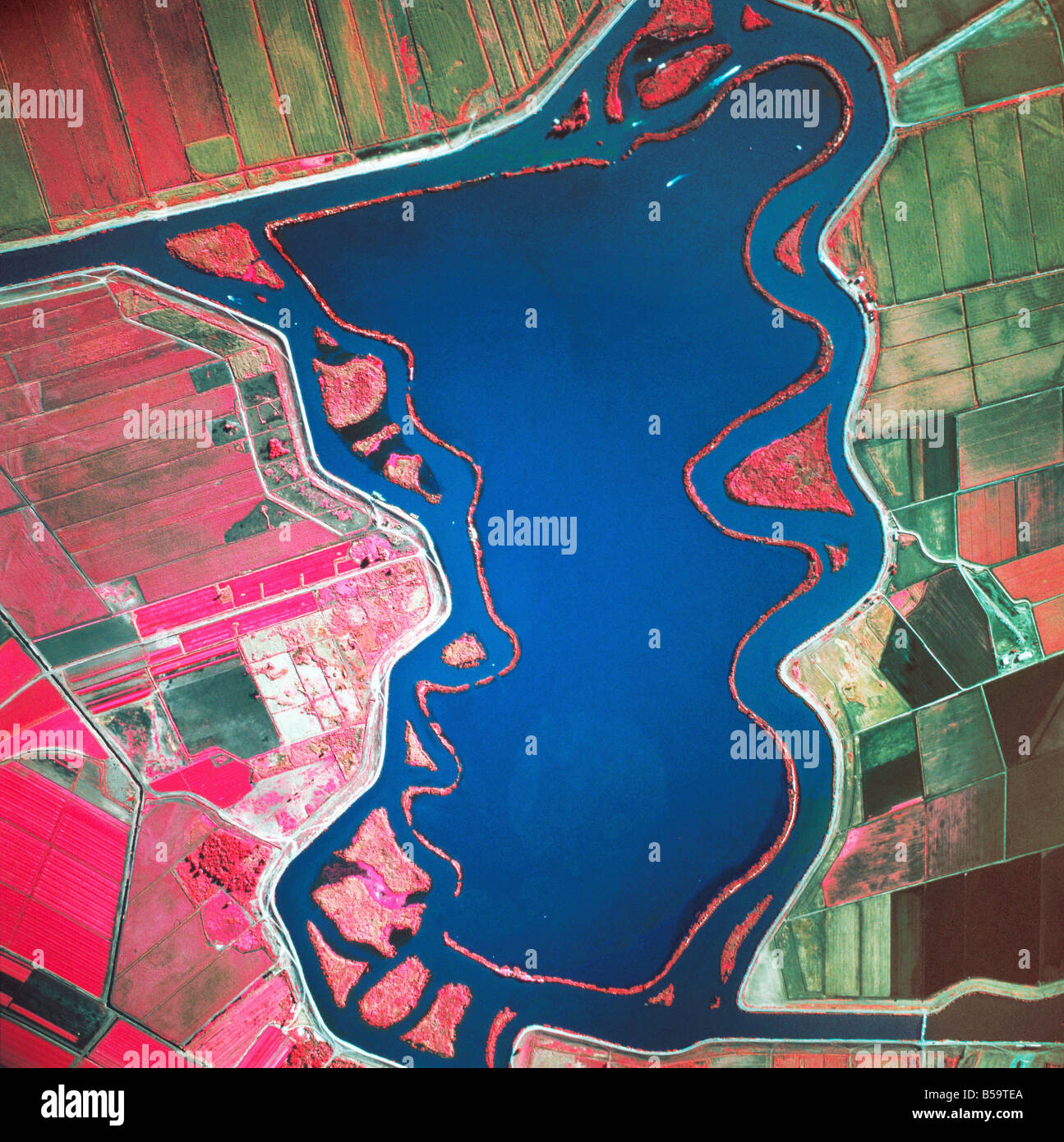 infrared aerial view above submerged Mildred Island levees Sacramento San Joaquin river delta California Stock Photo