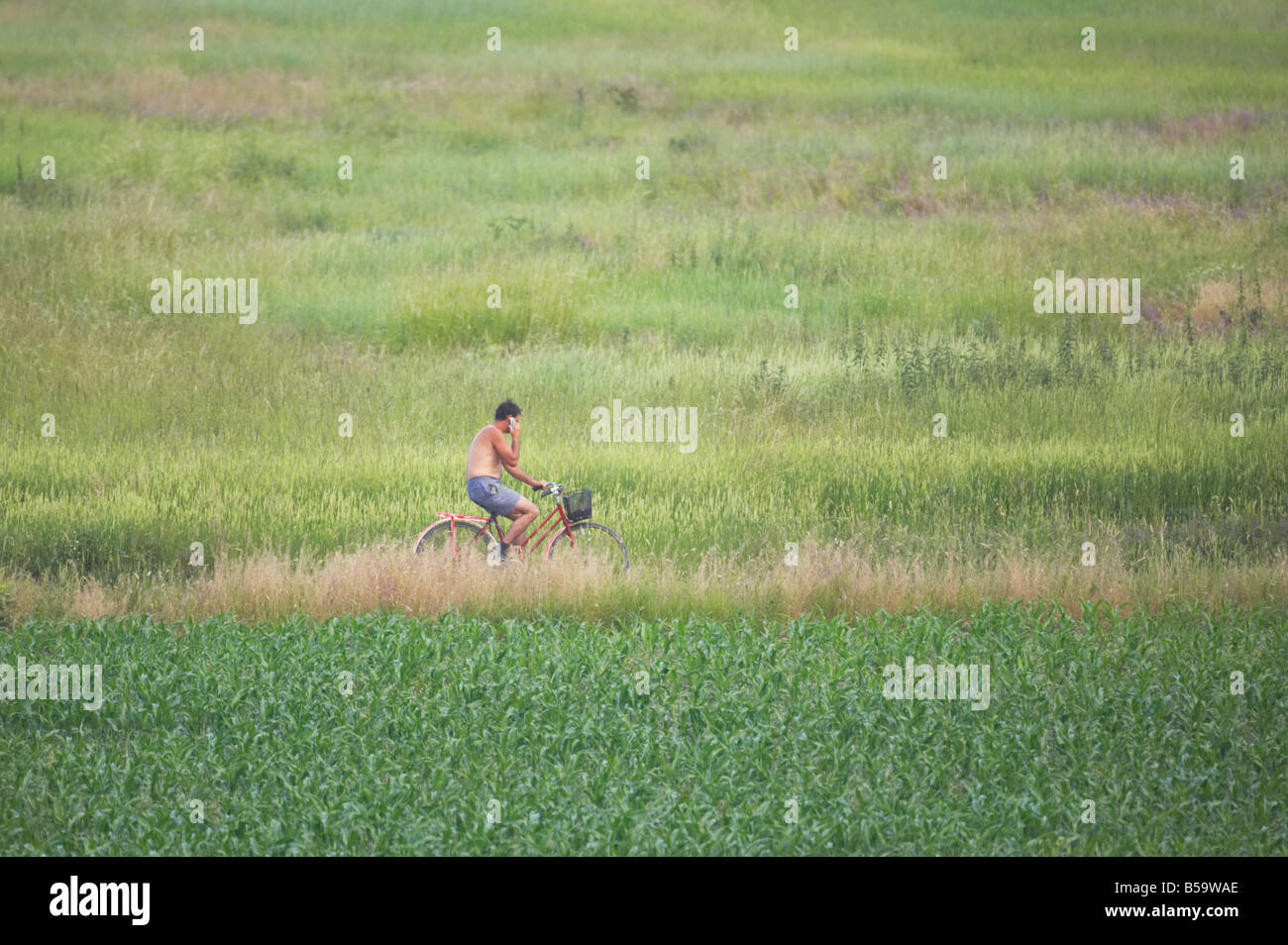 Man on bike using mobile phone Hungary PE000017 Stock Photo