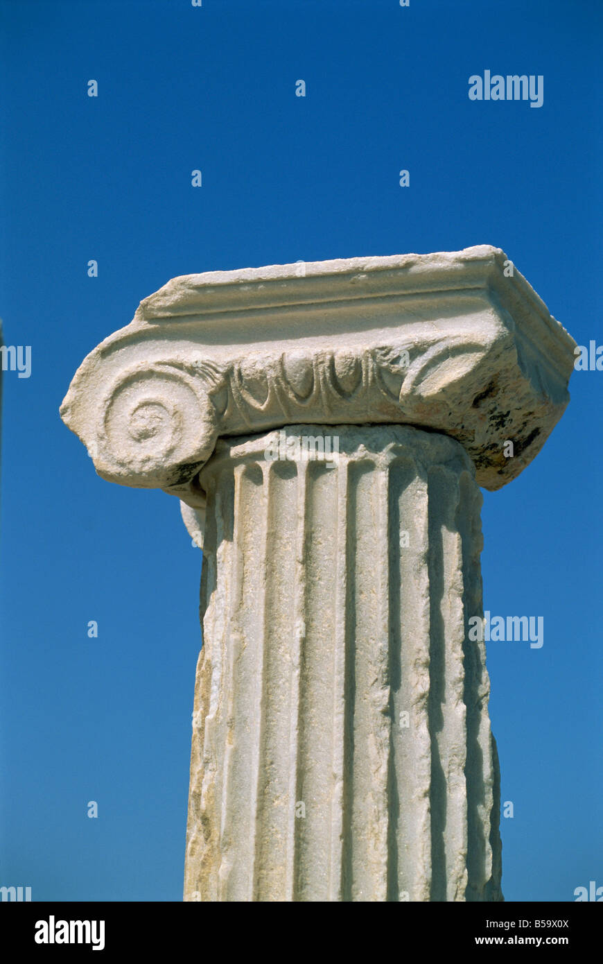greek columns ionic
