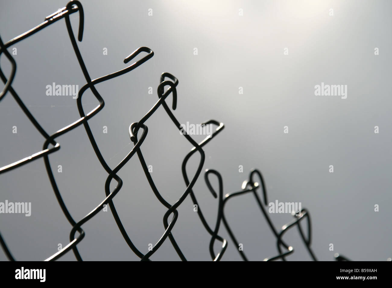 close up of metal wire fence barrier in sun Stock Photo Alamy