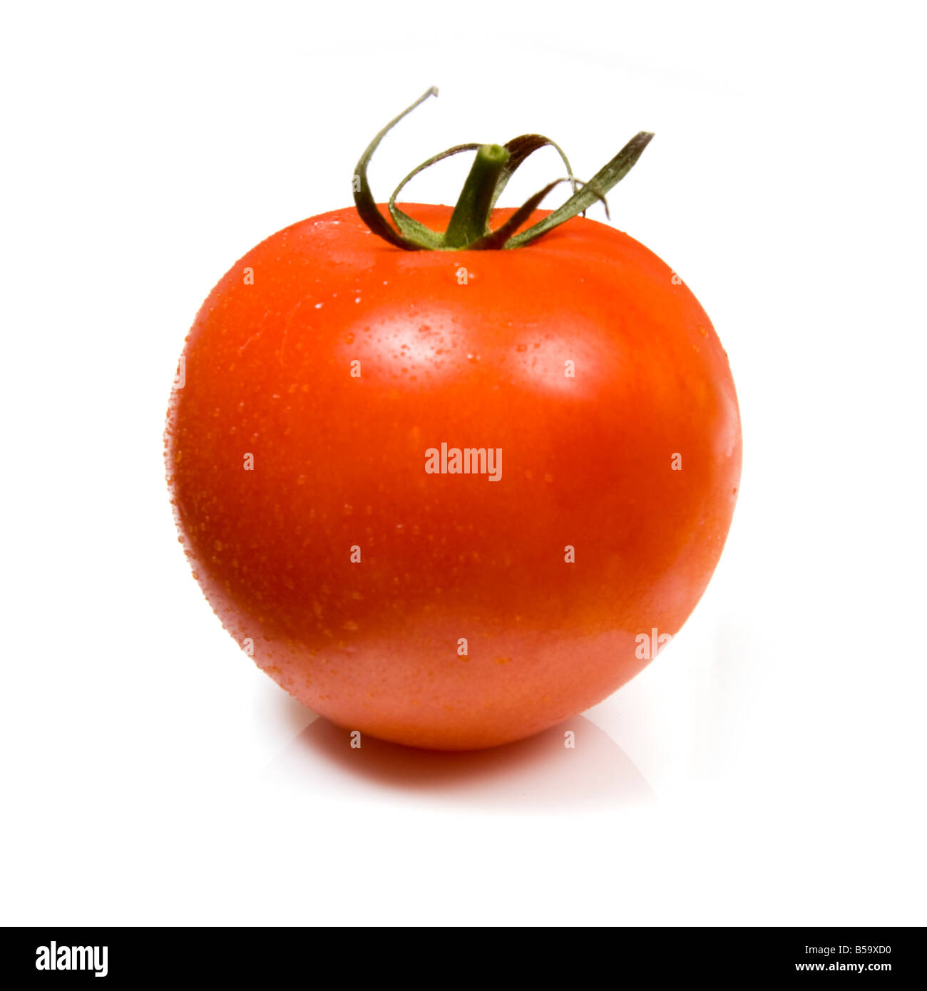 Red tomato isolated on a white studio background Stock Photo - Alamy