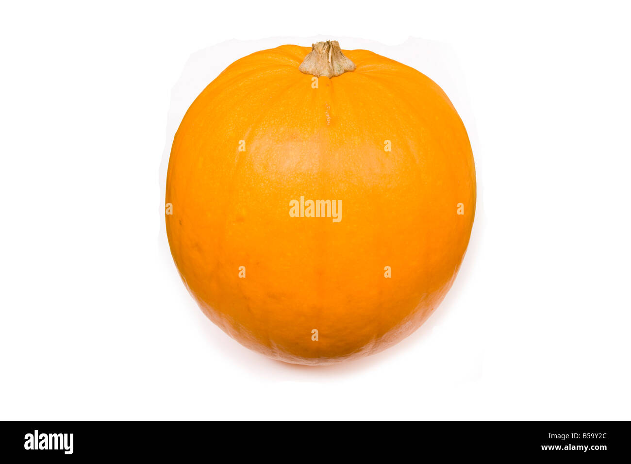 Whole pumpkin isolated on a white studio background Stock Photo - Alamy