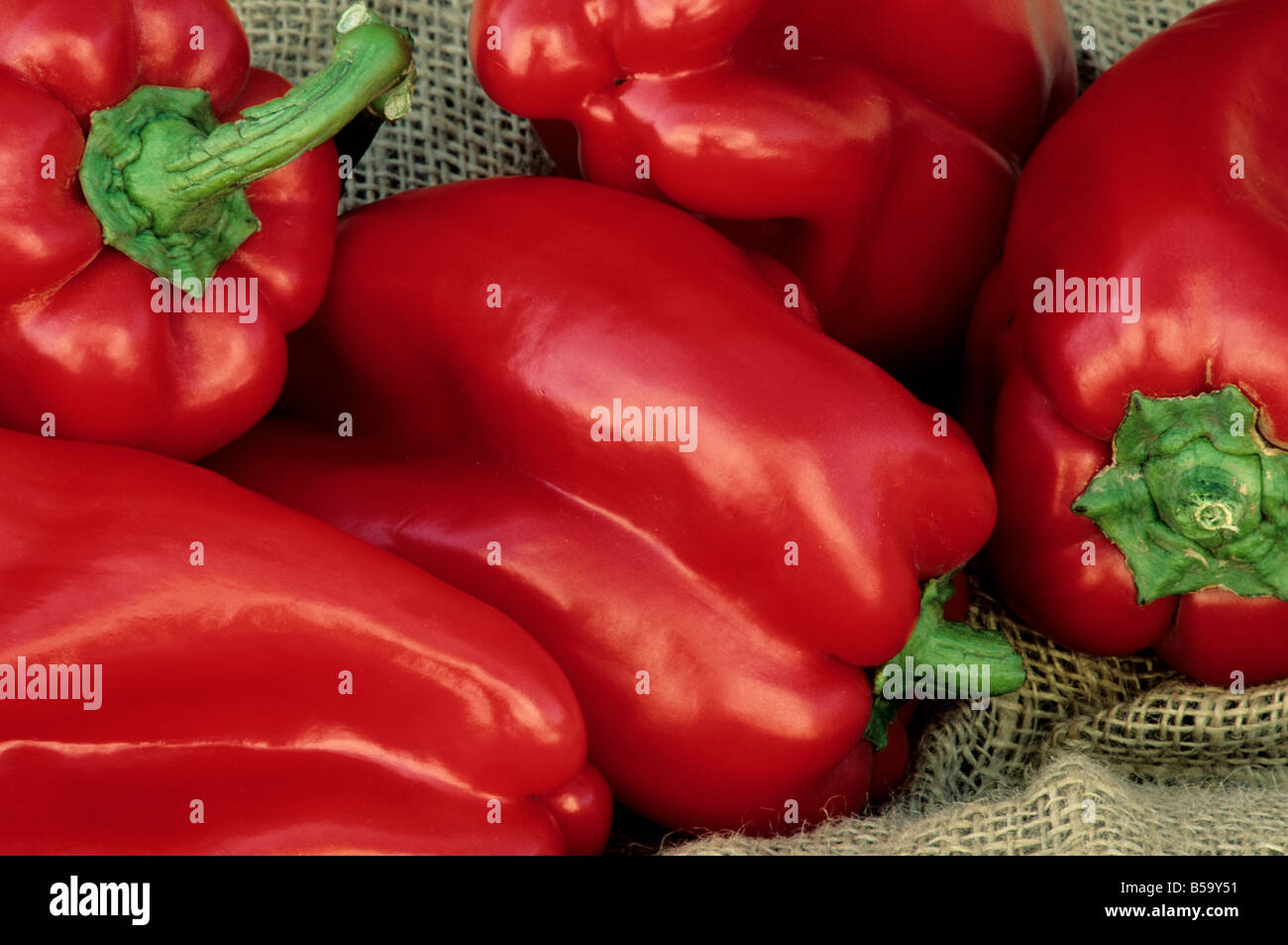 Bell pepper plants hires stock photography and images Alamy
