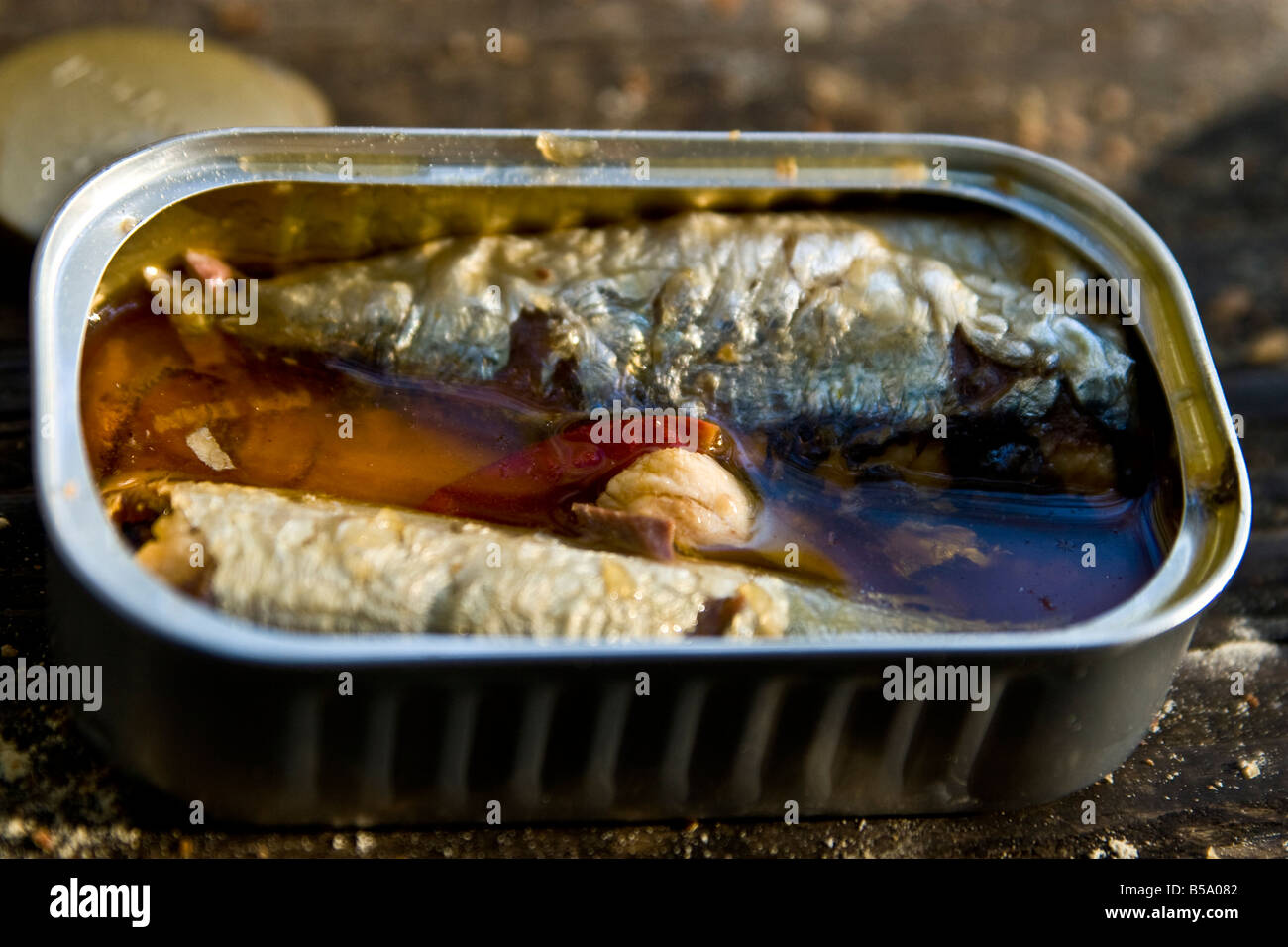 Open sardine tin Stock Photo Alamy