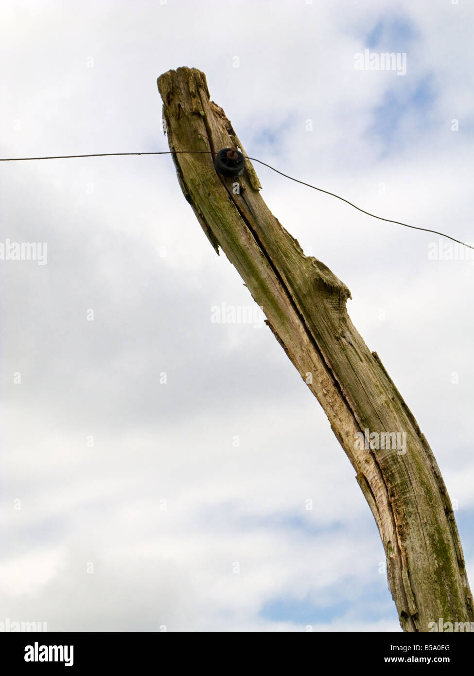 Dead tree trunk used as a telegraph pole against the sky Stock Photo
