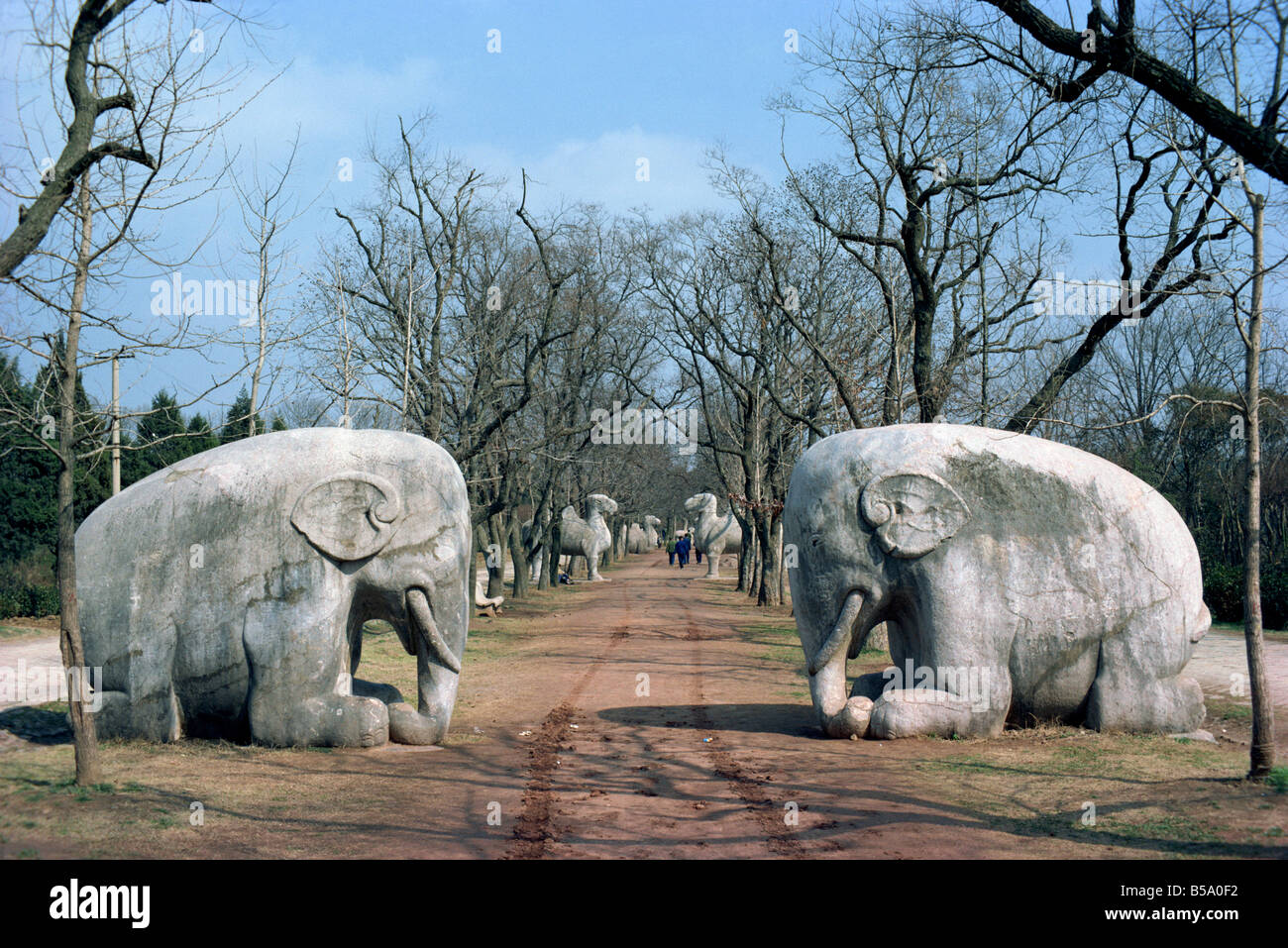 Elephant statues on Sacred Way Ming Tombs Nanking China G Corrigan Stock Photo