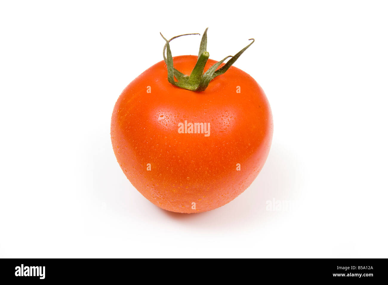 Red tomato isolated on a white studio background Stock Photo - Alamy