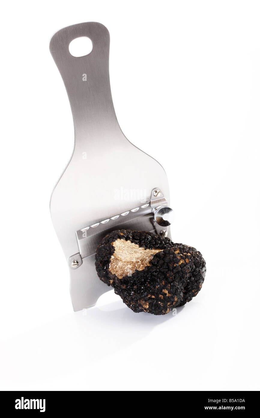 Black truffle with truffle slicer Stock Photo